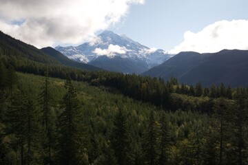 Fototapeta premium A stunning view of Mount Rainier framed by a dense forested valley under a partly cloudy sky.