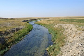 Scenic View of a Meandering Stream Amidst Golden Fields