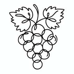 Minimalist line silhouette of grapes vector illustration, continuous outline fruit design element