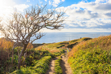 秋の神威岬【北海道】