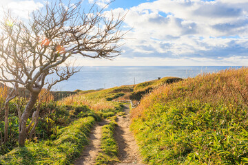秋の神威岬【北海道】