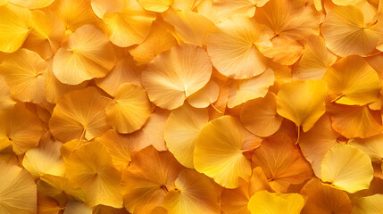 A vibrant carpet of golden autumn leaves creates a warm and inviting scene.