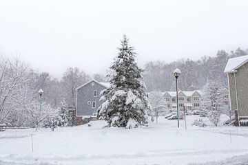 snow covered house in winter
