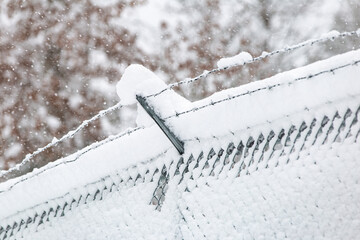 snow covered fence