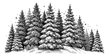 snow covered fir trees engraving black and white outline