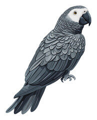 Obraz premium PNG Gray parrot perched on a branch in natural setting