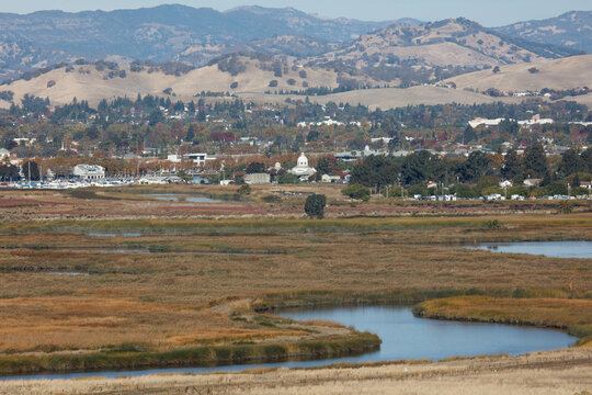 An image of the marshland in Suisun City, California. The  dome of the Suisun City city hall can be seen in the background.