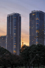 都心散歩　晩秋夕暮れの浜離宮
