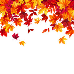 Falling autumn leaves. Background frame with colorful autumn leaves. Greeting or invitation card design. Vector illustration