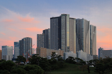 Obraz premium 都心散歩 晩秋夕暮れの浜離宮 