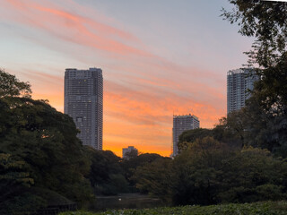 都心散歩　晩秋夕暮れの浜離宮
