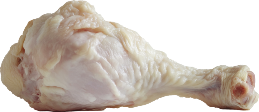 Raw chicken drumstick on transparent background, studio shot. Culinary ingredient and cooking concept
