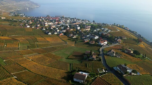 Establishing drone shot of vineyards in Epesses Lavaux in Switzerland