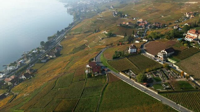 Reveal drone shot of Lavaux and Lake Geneva with autumn colors in Switzerland