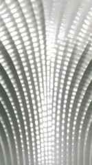 Fototapeta premium A striking white vase elegantly contrasts with a black and white image of another vase, creating a captivating interplay of color and form.