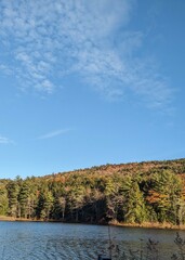 Autumn Trees and Sky