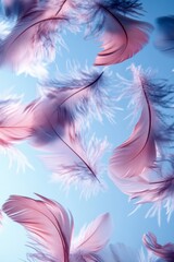 Obraz premium Delicate feathers dance gracefully in the air, illuminated by the bright blue sky, evoking a sense of freedom and lightness.