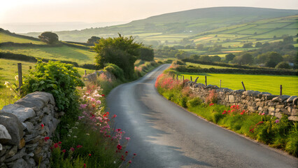 Charming Irish countryside road with wildflowers, peaceful mood, early morning light