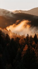 Fototapeta premium Golden Hour Mountain Forest Fog Landscape Photography Mobile Phone Wallpaper