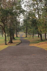 Tranquil Green Landscape with Road and tree-lined footpath, scenic park road
