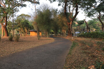 Tranquil Green Landscape with Road and tree-lined footpath, scenic park road