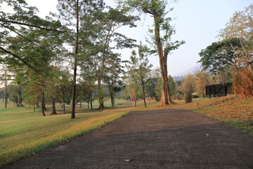 Tranquil Green Landscape with Road and tree-lined footpath, scenic park road