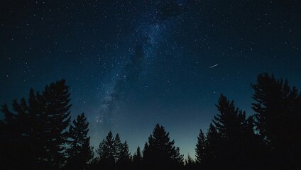 The night sky is lit by the moonlight