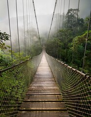 A wooden suspension bridge stretches into a misty jungle.  A path less traveled awaits.