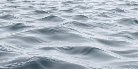 Obraz premium Elegant grey fluid waves with subtle highlights in a serene ocean setting, ocean waves, soft focus, organic shapes