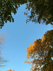Fall 