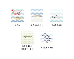 Set of editable fish vector templates.	