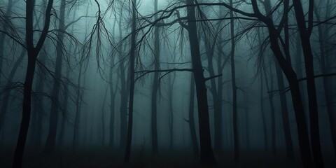 Obraz premium Dark forest with misty atmosphere and low hanging branches, leaf litter, dark forest