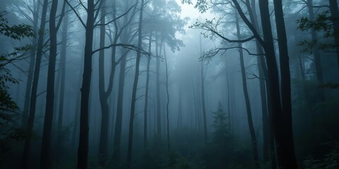 Obraz premium Dense forest enveloped in a mystical fog, atmospheric, trees