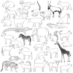 vector drawing sketch of animals, hand drawn illuastration, vintage nature design elements isolated at white background © cat_arch_angel