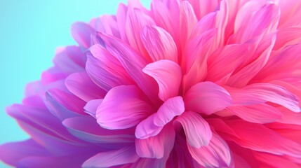 Vivid Pink Flower Petals Closeup Macro Abstract Spring Bloom Nature Background