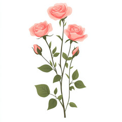 Obraz premium Beautiful pink roses with green leaves, perfect for floral designs and decorations