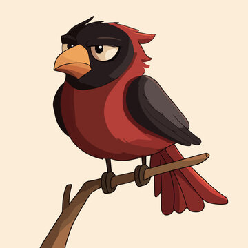 Grumpy Red Bird on Branch
