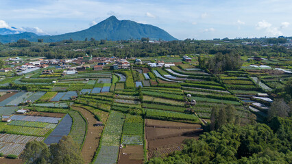 A serene village landscape surrounded by vibrant green fields, with mountains in the background under a bright sky, location in central java Indonesia