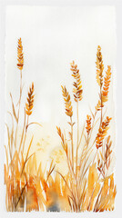 wheat field illustration isolated on white version 7