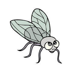 fly cartoon vector illustration