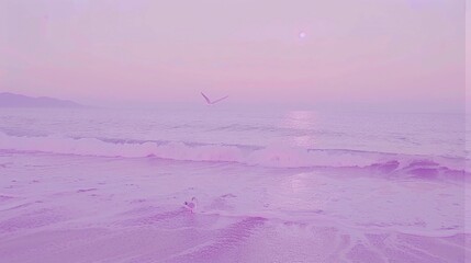 beautiful peaceful purple beach