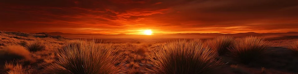 Australian desert landscape with iconic spinifex grasses under a fiery sunset ,