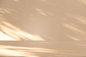 Wall interior background, studio and backdrops show products. with leaf shadow from window color beige and white. background for text insertion and presentation of product	