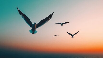 Fototapeta premium Majestic Seagulls Soaring at Sunset Ocean Birds in Flight Peaceful Sunrise Sky
