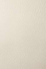 Obraz premium Leather texture beige ivory 