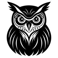 owl on white background