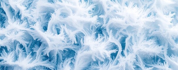 Obraz premium Winter micro landscapes composition. Intricate ice crystals forming a delicate frozen pattern.
