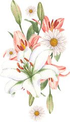Hand-drawn white and pink lilies with soft petals watercolor