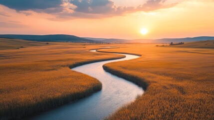 winding river flows through golden wheat field at sunset
