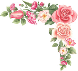 Fototapeta premium Hand-drawn tulip peony and blooming pink rose watercolor